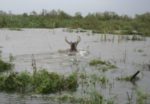 Mississippi flooding www.alloutdoor.com