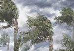 Lessons from Hurricane Harvey on Flooding Lessons from Hurricane Harvey on Flooding