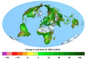 Change in Leaf Area 1982 to 2015