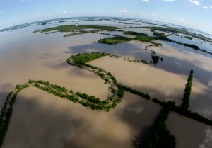 Mississippi's Batture Still Flooded