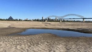 Memphis-Arkansas Bridge 