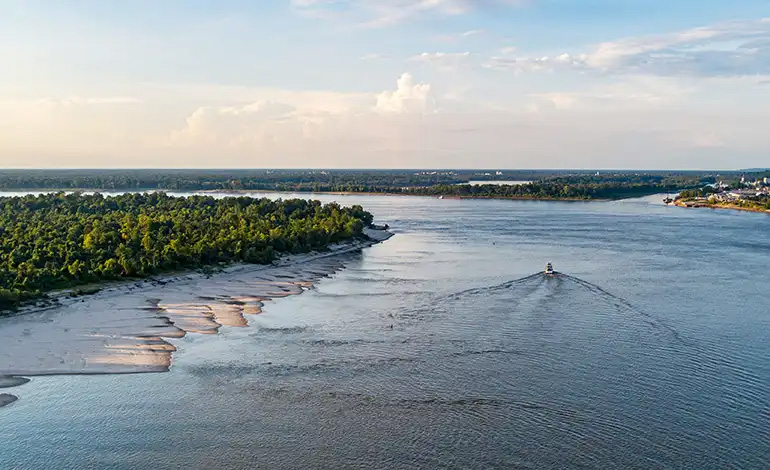 Wistful Not Thinking